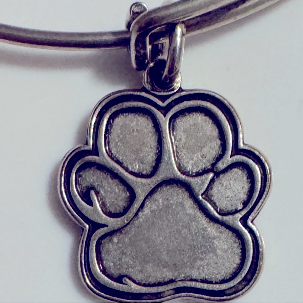 Alex and Ani Charm Bangle Bracelet with Paw Print - Picture 2 of 10